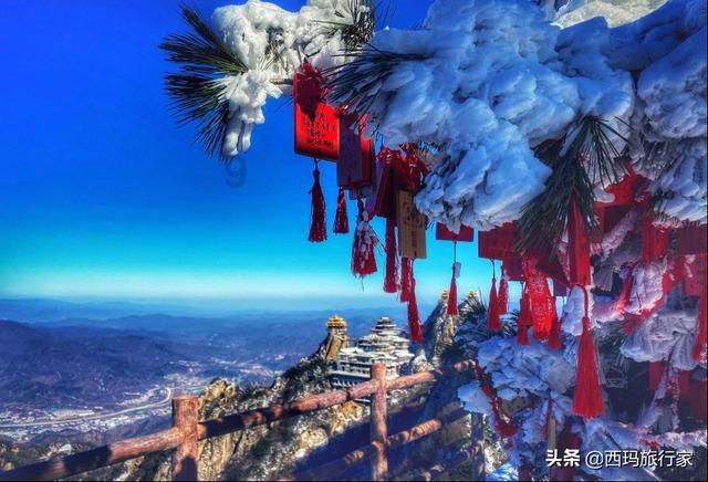 深夜出没专偷电瓶?流窜盗窃嫌疑人被抓了!